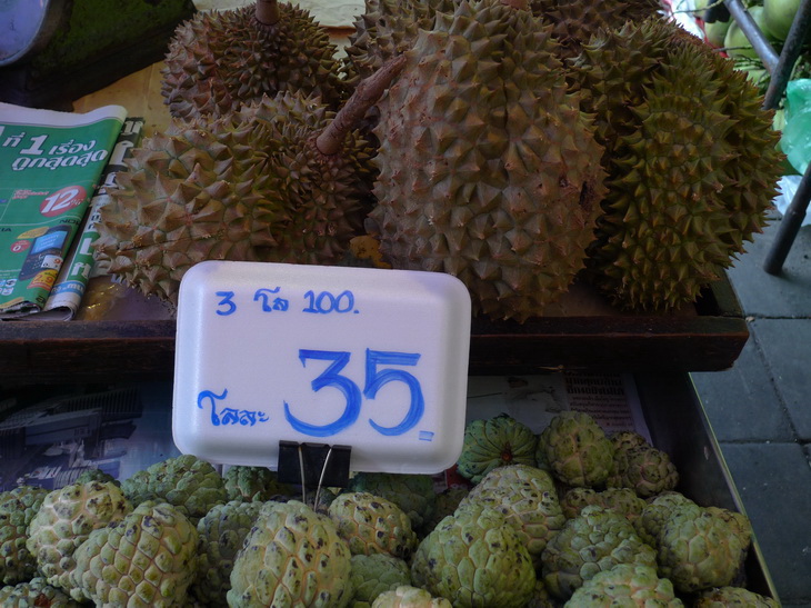 Durian Durio Adans a annona